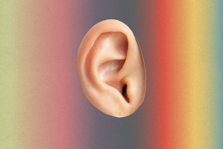 Ear Seeding An Ancient Cure Anxiety