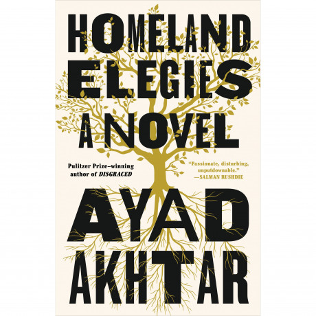 Homeland Elegies Ayad